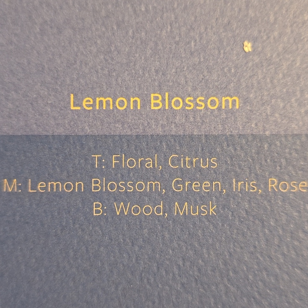 Daniella Manini x Anthropologie Capri Floral Lemon Blossom Boxed Ceramic Candle - Picture 12 of 14